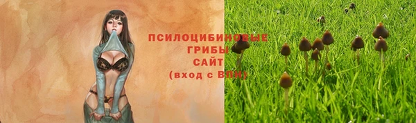 гашиш Белокуриха